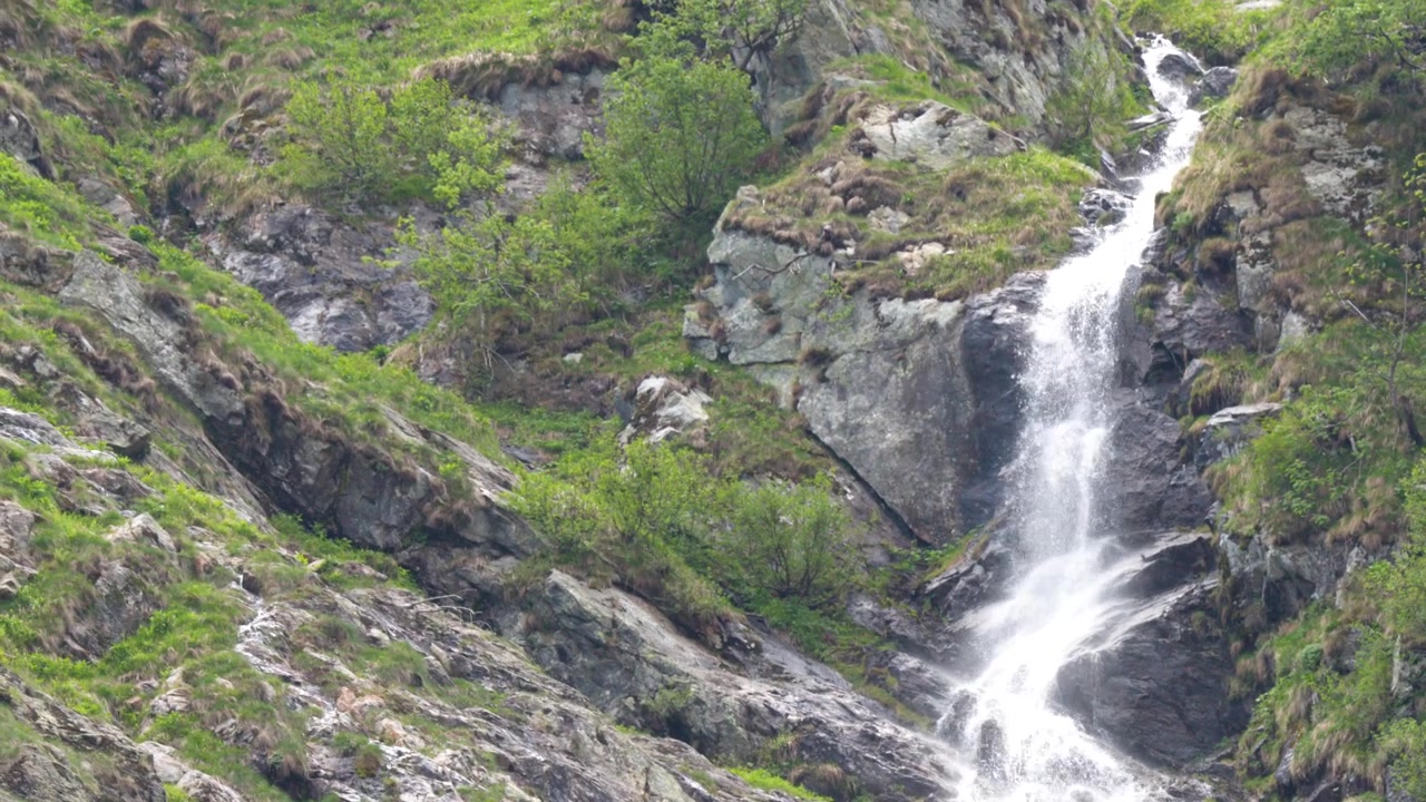 Un potente torrente di montagna scorre su rocce scoscese e vegetazione nelle Alpi italiane.