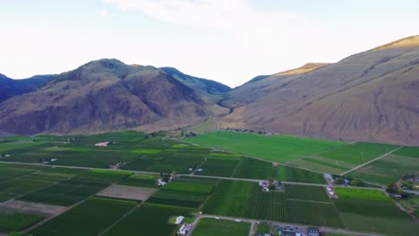 Aerial-shot-in-British-Columbia-on-a-bright-sunny-day-showcasing-the-Rocky-mountains-and-farmers-fields-with-lush-green-grass-and-tress-below