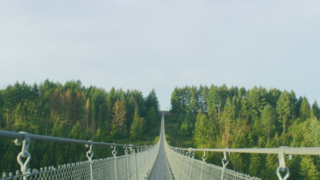 geierlay suspension bridge wide shot in morning on summer day pov