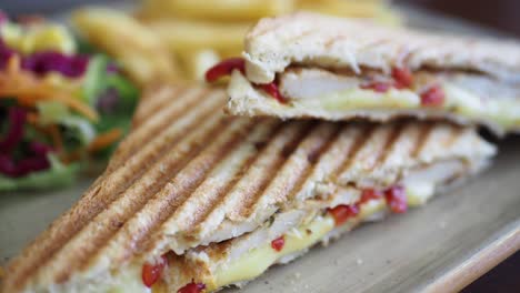 delicious chicken and cheese grilled sandwich with fries and salad
