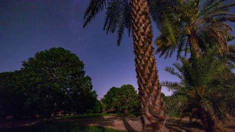 Cuando-La-Luna-Se-Pone,-Oscurece-Por-Todas-Partes,-Porque-No-Hay-Contaminación-Lumínica-Aquí,-En-El-Sureste-De-Irán,-Entre-Los-Huertos-De-Dátiles-Y-Mangos