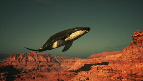 flying whale over a desert canyon