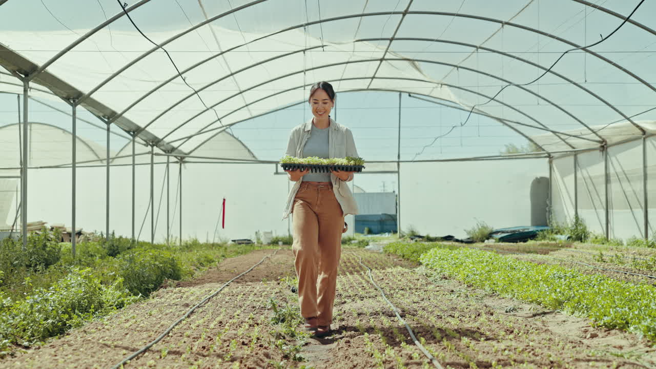 mujer asiática, planta y caminando en el invernadero