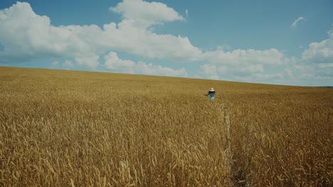 person walking through a golden wheat field
