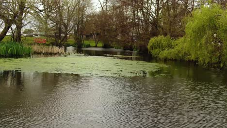 beautiful aerial shot of pond in london