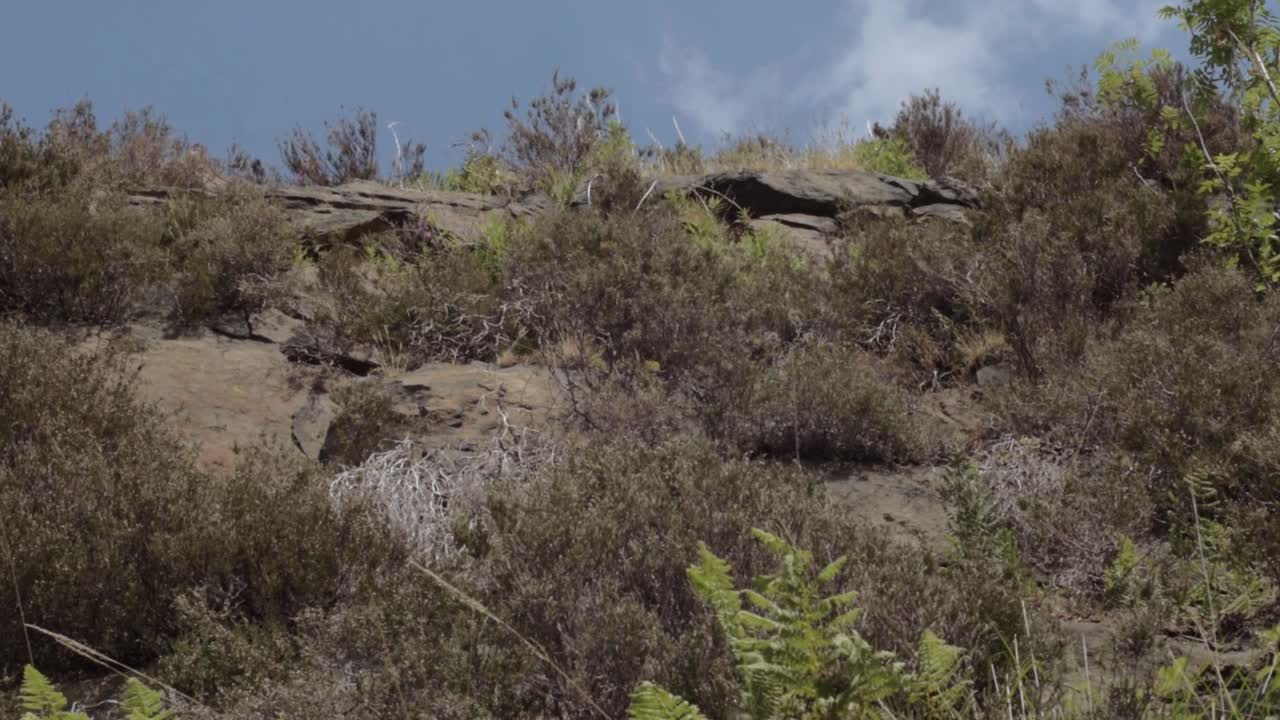 Rocky terrain landscape against sky panning shot