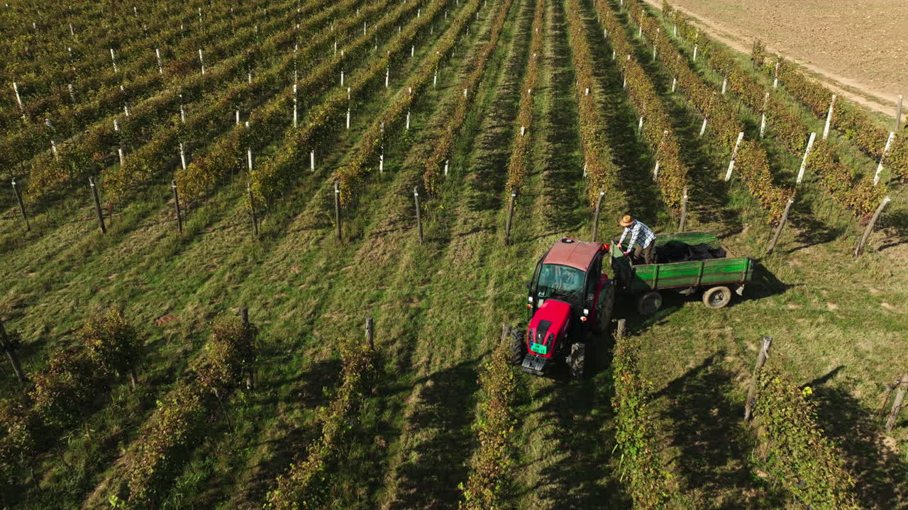 Tractor in Vineyard