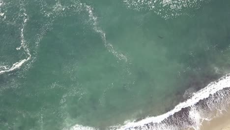 vista aérea desde un avión no tripulado en la playa de greyhound rock en davenport
