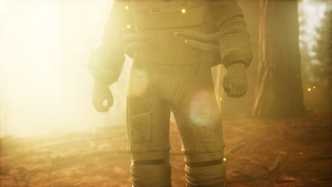 astronauta solitario en el bosque oscuro