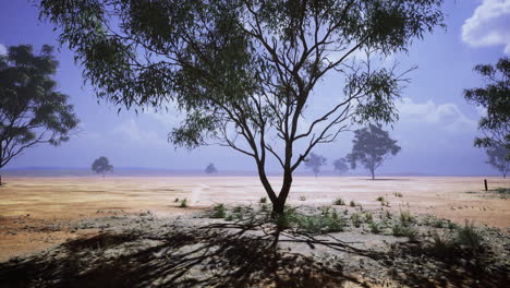 vivid desert landscape showcasing strong tree silhouettes under bright sky