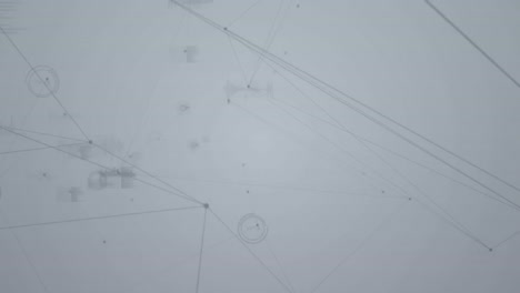 animación de la red de conexiones sobre un fondo gris