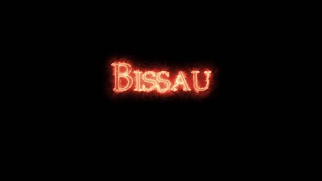 bissau escrito con fuego. bucle