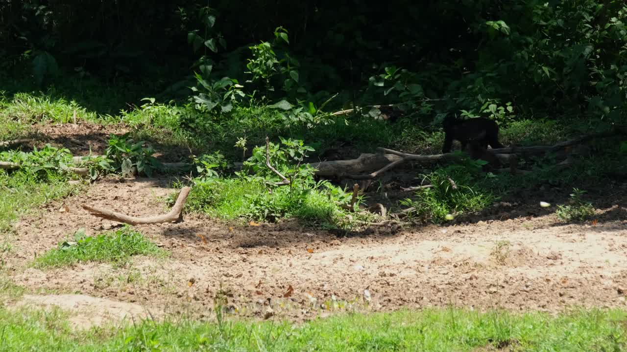 프레임의 오른쪽에서 왼쪽으로 이동하는 부대, 나비가 날아다니는 아기들