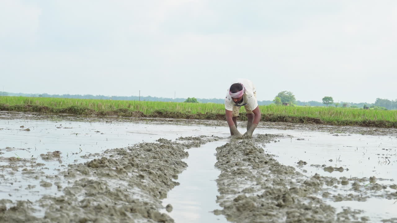 In the plowed field, a farm worker actively doing agricultural activities