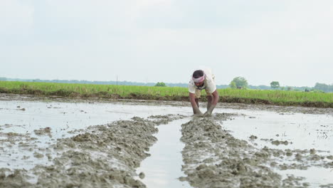 in the plowed field, a farm worker actively doing agricultural activities