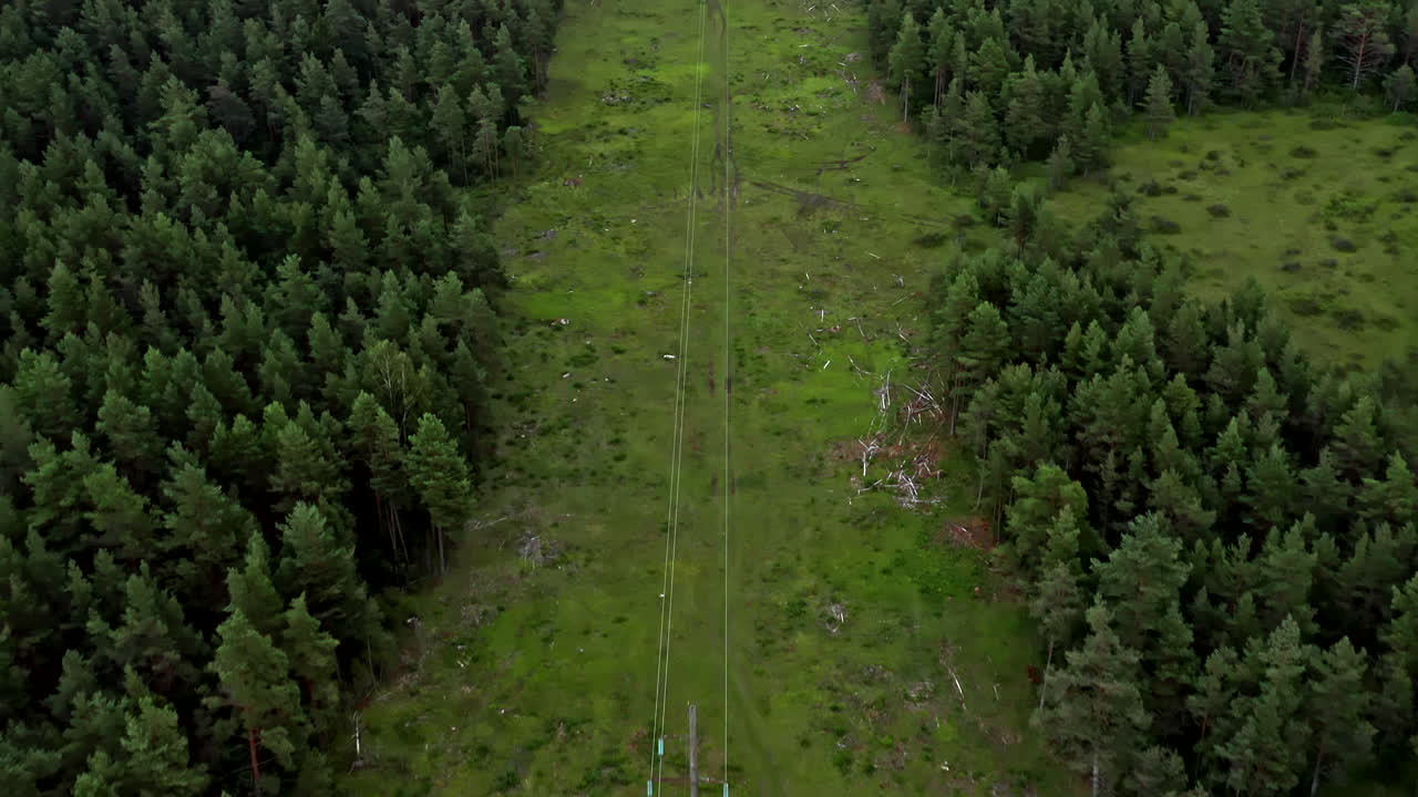 Epic Aerial View of Meadow and Forest Landscape in Eastern Europe - Dolly Shot