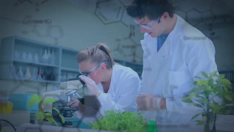 botánicos en un laboratorio