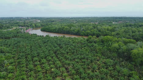 Vista-De-Drones-De-Los-Campos-De-Palma-Aceitera-Y-El-Río-En-Rompin-Pahang,-Malasia