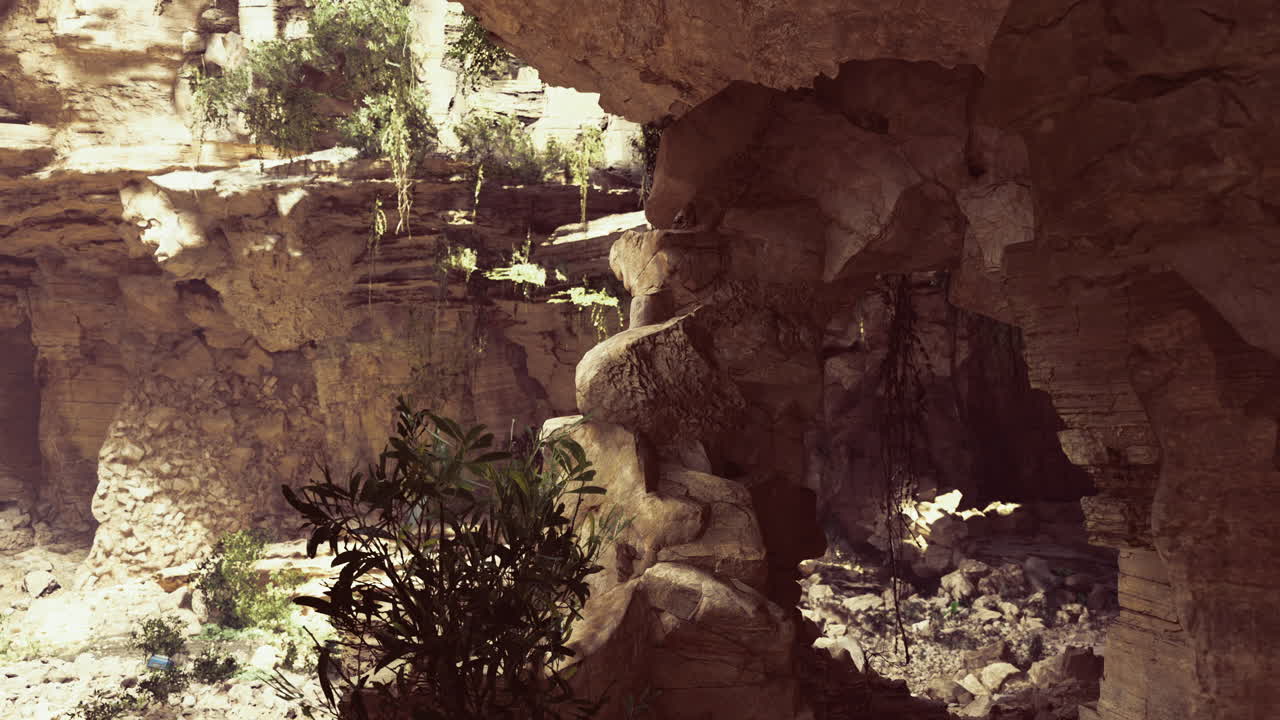 Unique rock formations and lush foliage in a sunlit canyon