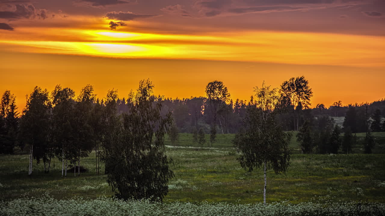 봄 저녁 동안 푸른 초원에서 만발한 야생화 위로 구름이 움직이는 저속 촬영