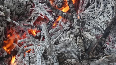 white burning charred wood at a campfire with fire flames, close up background of logs in combustion