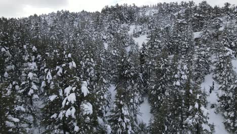 Frozen-Nature-Drone-View