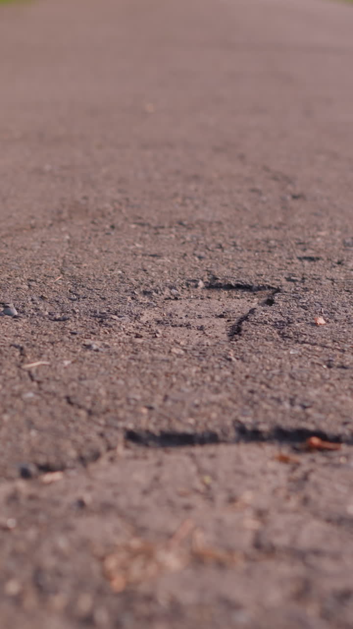 primer plano de la superficie de la carretera agrietada y texturizada con fisuras visibles y parches ásperos, que conduce a un fondo borroso con follaje verde