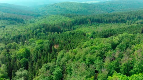 Vuelo-Aéreo-De-Drones-Sobre-Un-Exuberante-Bosque-Verde-De-Verano-Y-Un-Paisaje-Montañoso