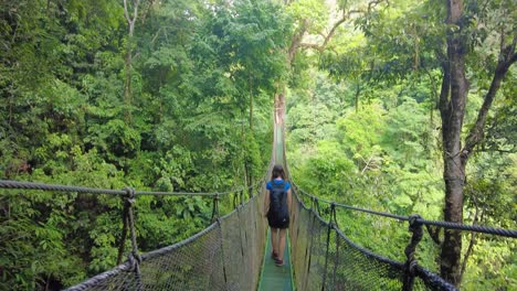 A-girl-can-walking-on-a-suspension-bridge-in-the-midst-of-a-lush-forest