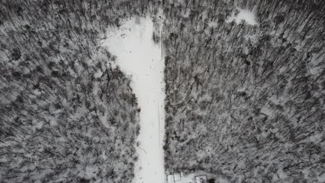 Deporte-De-Esquí,-Nieve-Invernal.-árboles-En-El-Bosque-Cubierto-De-Espectáculo.-Frío-Invierno-Nevando.-Estación-De-Esquí.-Ucrania,-Kiev