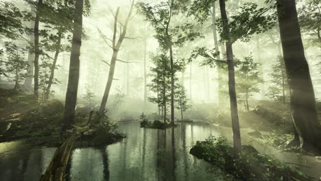 Serene forest landscape with fog over calm water at dawn in nature