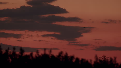 avión en el cielo al atardecer