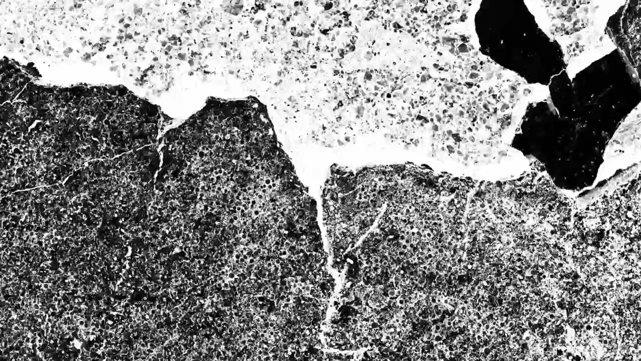 Dynamic Abstract Black and White Grunge Texture Background