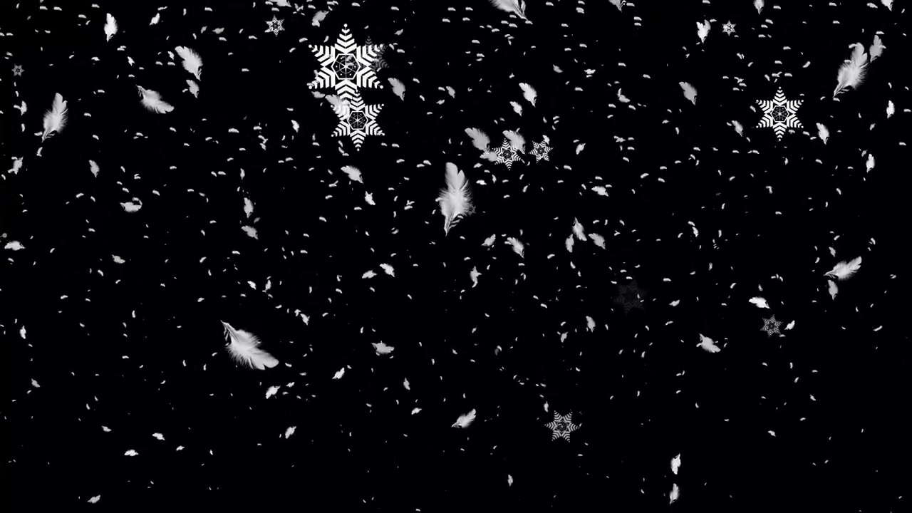 White Feathers and Snowflakes Falling Against Black Background