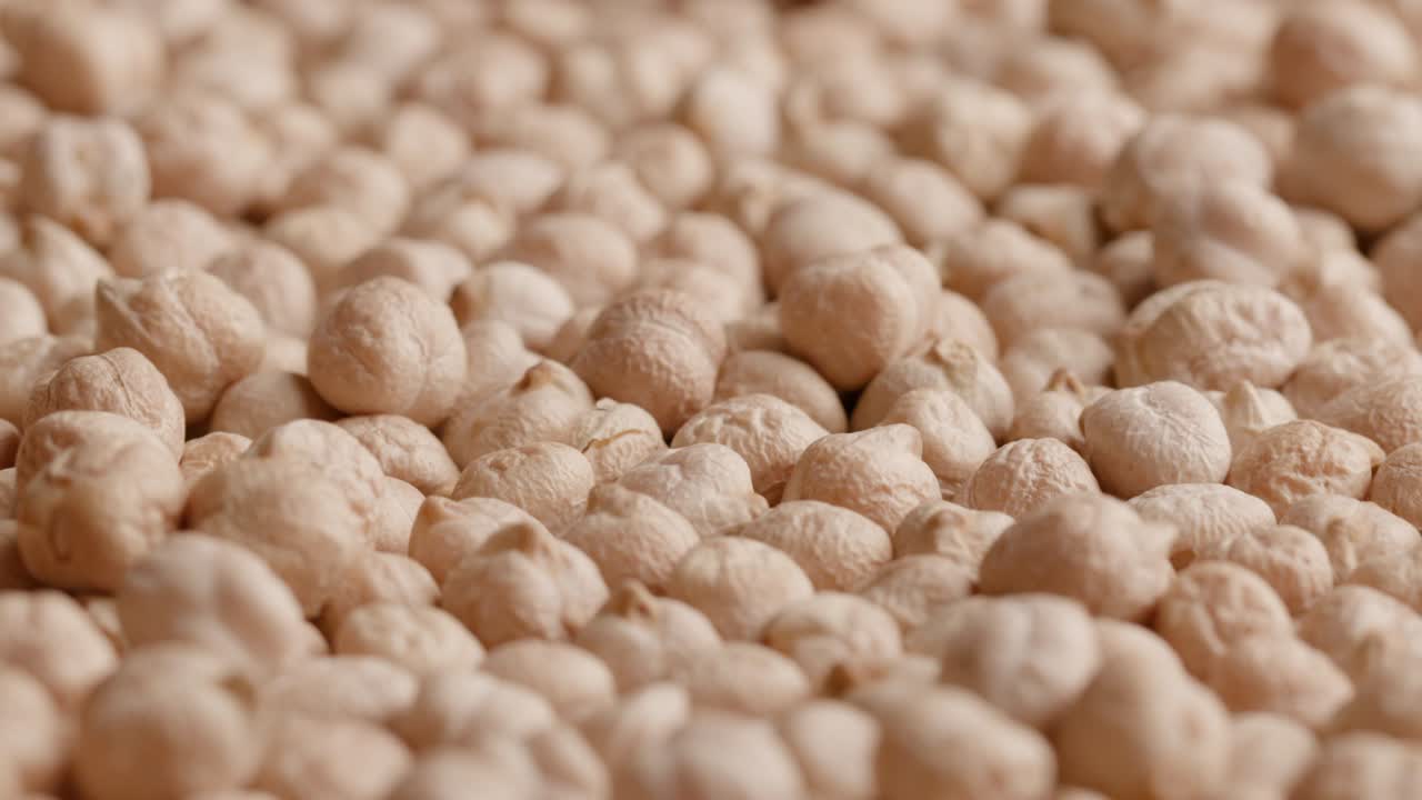 원시 양배추가 원형으로 회전하는 그룹