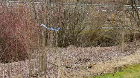 Trash-caught-on-tree-blowing-in-wind