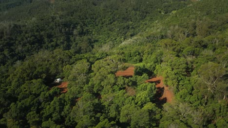 Hidden-dirt-bike-track-in-green-forest-hills-of-Madeira,-aerial