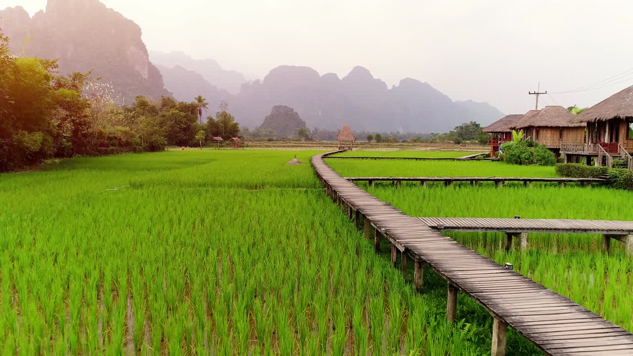 деревянная тропа и зеленое рисовое поле в ван виенге, лаос.