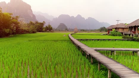camino de madera y campo de arroz verde en vang vieng, laos.