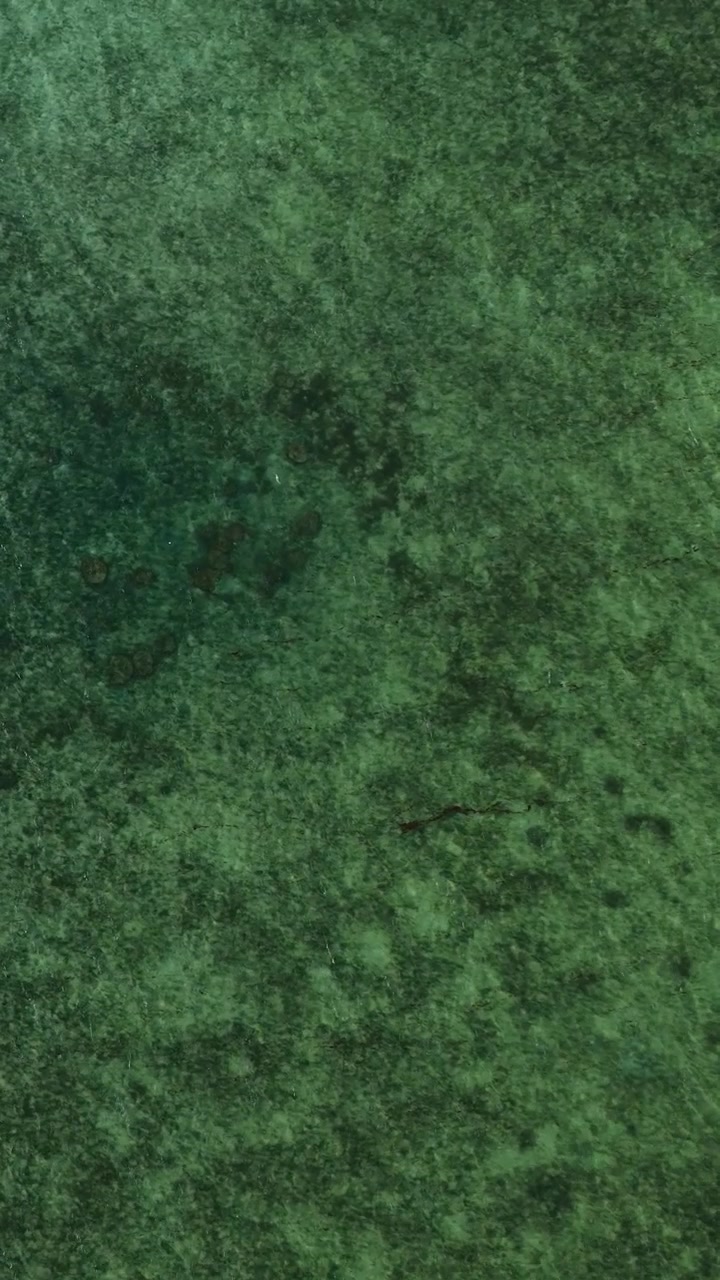 Aerial Top Down View of Clear Green Ocean Water and Coral Reef