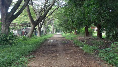 Vista-En-Primera-Persona,-De-La-Manera-Natural-Al-Interior-De-Una-Finca-De-Producción