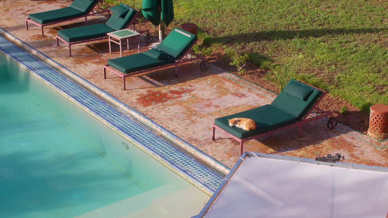 Ginger cat resting on poolside lounge chair at villa with sunlit patio in Marrakesh