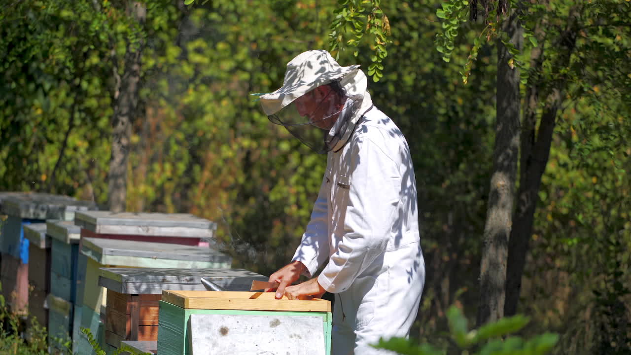 Apiarist near hives. Male beekeeper in white protective uniform and hat looks after bees on the background of many beehives in the forest.
