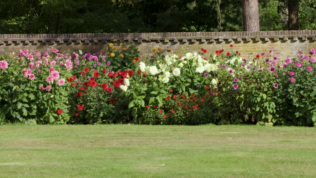 Camera pans across vibrant flower beds beside decorative fence, natural daylight, tranquil garden setting
