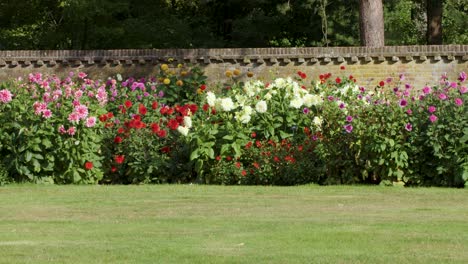 camera pans across vibrant flower beds beside decorative fence, natural daylight, tranquil garden setting
