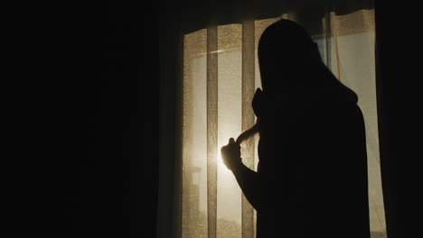 silhouette of a middle-aged woman combing her hair at the window