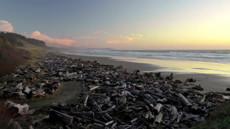 Driftwoods-En-La-Costa-Del-Océano-Pacífico-En-Una-Puesta-De-Sol