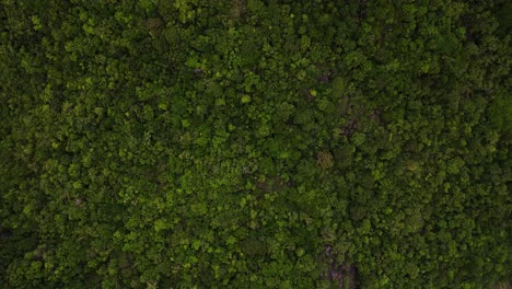 Schöner-Panoramablick-Auf-Das-Bekannte-Touristenziel-Grüner-Spaziergang-Im-Tal-Von-Koh-Phangan,-Thailand,-Vom-Flaschenstrand-Aus