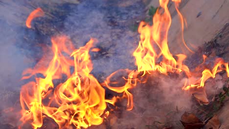 llama fuego quemando hoja seca. fuego en cámara lenta y humo brillando y flotando y brillante en el suelo