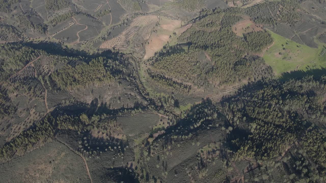 una vista aérea del paisaje verde de proença a nova, portugal
